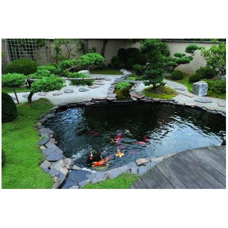 Allaskumi Firestone, 9,15 m leveänä