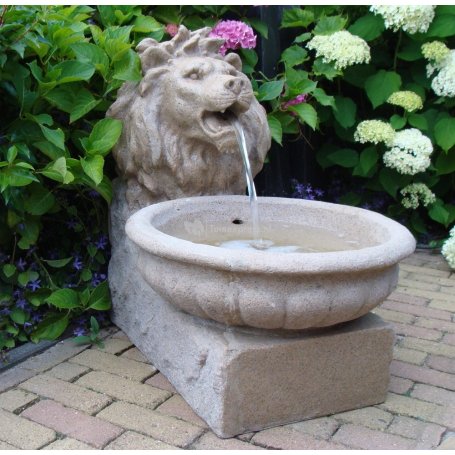 Basel leijonanpää vesiaihe