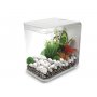 biOrb FLOW akvaario sisustusakvaario kotiin tai toimistoon. Helppohoitoinen koristeakvaario