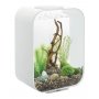 biOrb LIFE akvaario, helppohoitoinen sisustusakvaario ja kodin mainio koristeakvaario