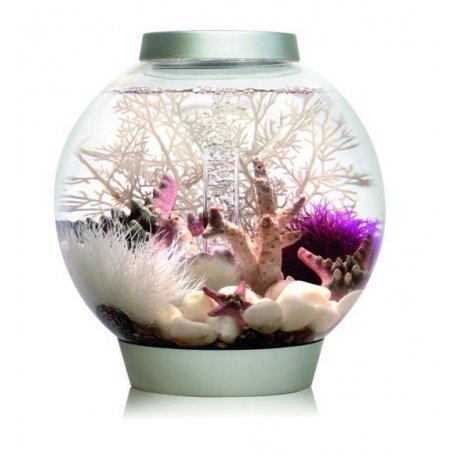Classic biOrb akvaario, helppohoitoinen sisustusakvaario, kaunein koristeakvaario
