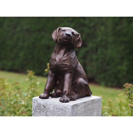 Pronssinen koira patsas "Labrador puppy Marley"