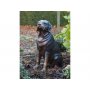 Pronssinen Rottweiler koirapatsas
