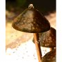 Pilz sieni suihkulähde