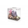 biOrb FLOW akvaario sisustusakvaario kotiin tai toimistoon. Helppohoitoinen koristeakvaario