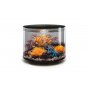 Näyttävä biOrb akvaario TUBE on helppohoitoinen sisustusakvaario, kaunis koristeakvaario