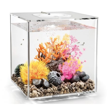 biOrb CUBE akvaario sisustusakvaario kotiin tai toimistoon. Helppohoitoinen koristeakvaario