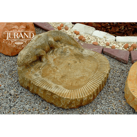 Lintujen juoma-allas Lizard