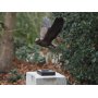 Pronssinen Pöllö patsas "Flying Owl"