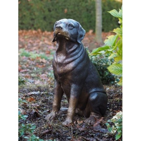 Pronssinen Rottweiler koirapatsas