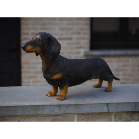 Pronssinen mäyräkoira patsas "Dachshund Painted"