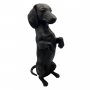 Pronssinen Mäyräkoira patsas "Dachshund"