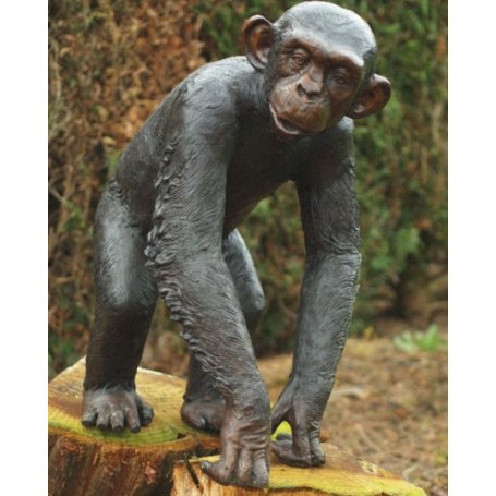 Pronssinen Apina patsas "Chita"