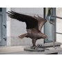 Pronssinen Kotka patsas "Eagle on a tree trunk"