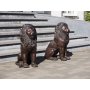 Pronssinen Leijona IV patsas pari "Sitting lion pair"