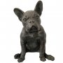 Pronssinen koira patsas "French Bulldog"