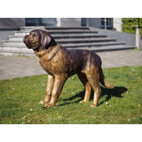 Pronssinen bernhardilainen patsas "Saint Bernard dog"