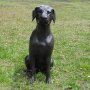 Pronssinen koirapatsas "Labradorinnoutaja"