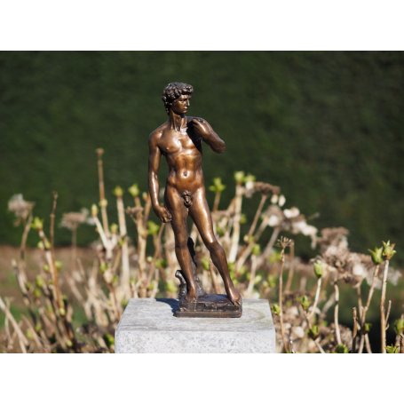 Pronssinen patsas "David by Michelangelo 30cm"