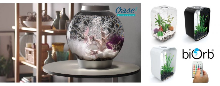 OASE:n biOrd akvaario on upea sisustusakvaario, eli helppokäyttöinen koristeakvaario kotin ja toimistoon