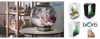 OASE:n biOrb akvaario on upea sisustusakvaario, eli helppokäyttöinen koristeakvaario kotin ja toimistoon